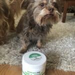 Upload 1 photo of your dog/s with a jar of our soft chews within the photo: image.jpg