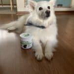 Upload 1 photo of your dog/s with a jar of our soft chews within the photo: 0AF2E3A0-E993-4A7B-AD26-9967AD172903.jpeg