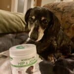 Upload 1 photo of your dog/s with a jar of our soft chews within the photo: 31D7A526-D2D8-40A1-928E-9D3698DF1485.jpeg