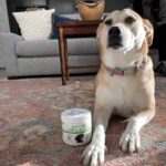 Upload 1 photo of your dog/s with a jar of our soft chews within the photo: 78C94CCC-4BBA-40DB-8C66-6BCBF8AA5D9B.jpeg