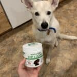 Upload 1 photo of your dog/s with a jar of our soft chews within the photo: D58F17A0-E8A8-42B2-A677-E06B9E3257A2.jpeg