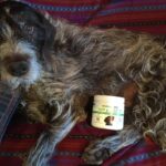 Upload 1 photo of your dog/s with a jar of our soft chews within the photo: image.jpg
