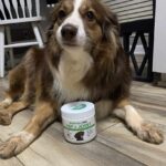 Upload 1 photo of your dog/s with a jar of our soft chews within the photo: C756349F-02D5-4E07-BFAA-17490DFE826A.jpeg