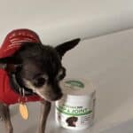 Upload 1 photo of your dog/s with a jar of our soft chews within the photo: 2CD088DE-2975-4307-AED1-6F97F9883B9E.jpeg