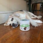 Upload 1 photo of your dog/s with a jar of our soft chews within the photo: BAILEY-WITH-HIS-WOOFS.JPG