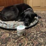 Upload 1 photo of your dog/s with a jar of our soft chews within the photo: 5626D1EA-925C-4A60-B519-98A685110E80.jpeg