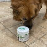 Upload 1 photo of your dog/s with a jar of our soft chews within the photo: 571AEDE2-2070-422E-9052-B03842826C89.jpeg
