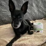 Upload 1 photo of your dog/s with a jar of our soft chews within the photo: F4A87F2D-6675-4220-84CE-ABEA2AC86876.jpeg