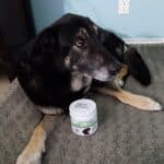 Upload 1 photo of your dog/s with a jar of our soft chews within the photo: 16224099169505525196224500156165.jpg