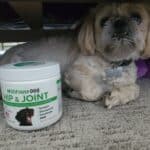 Upload 1 photo of your dog/s with a jar of our soft chews within the photo: 20210717_085814.jpg